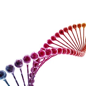 DNA multi color isolated on white background