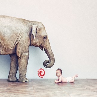 baby elephant and human baby